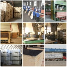杨木芯建筑模板厂,河北建筑模板厂