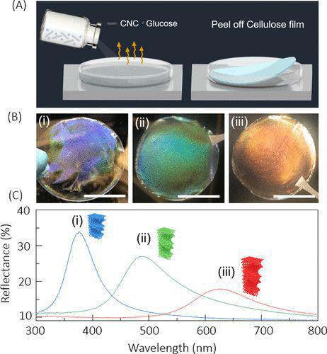 acs nano 基于纤维素纳米晶体薄膜的透反射辐射冷却器