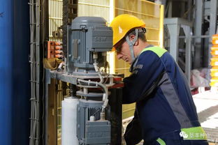 垦丰种业加工厂 托盘缠膜系统 正式启动运行