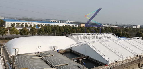 如何快速获得反吊膜厂家报价